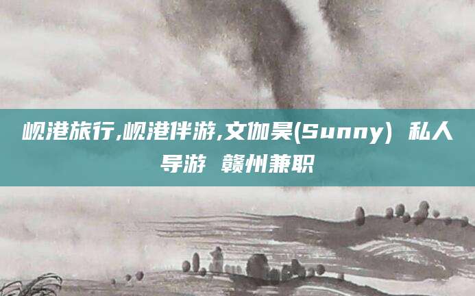 阳江岘港旅行,岘港伴游,文伽昊(Sunny) 私人导游 赣州兼职