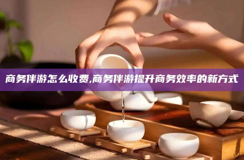 阳江商务伴游怎么收费,商务伴游提升商务效率的新方式