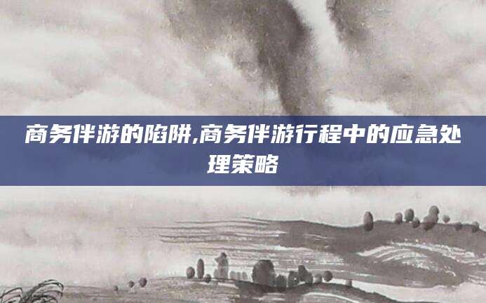 阳江商务伴游的陷阱,商务伴游行程中的应急处理策略